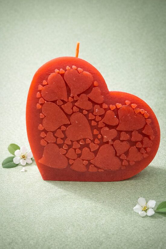 Silikona forma "Sirds"